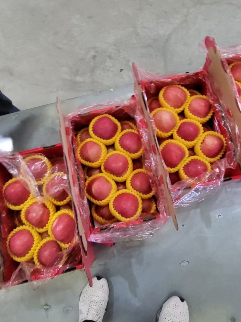 礼盒苹果二合一扣盒装苹果纸箱苹果富士苹果礼品箱