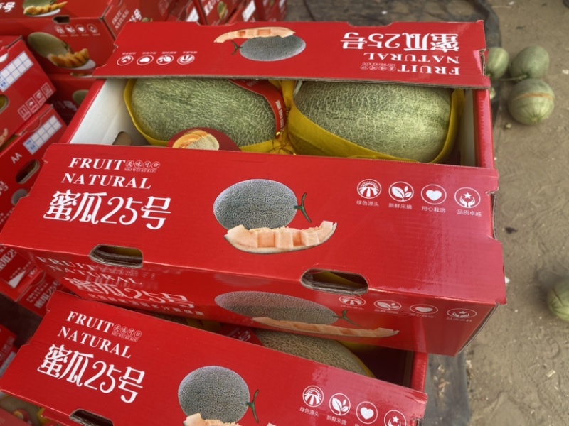 专业经营多种哈密瓜欢迎致电