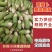 青萝卜水洗萝卜青皮萝卜代收代发代加工货源足