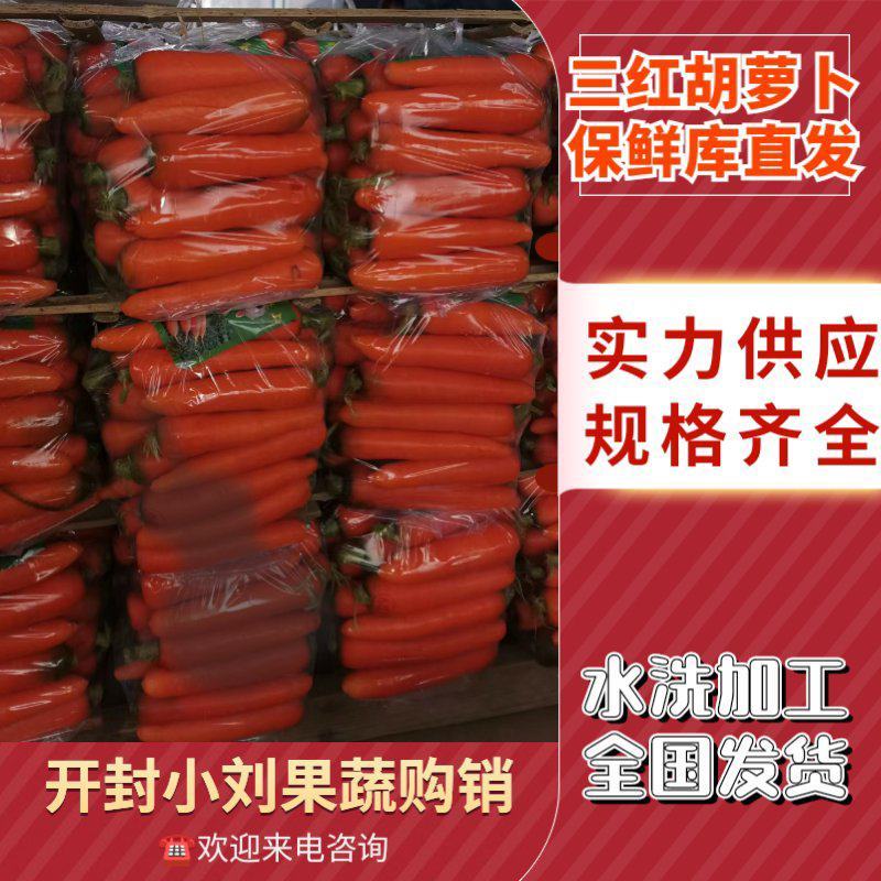 三红胡萝卜河南胡萝卜水洗加工货源充足质量保证全国发