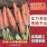河南三红胡萝卜水洗胡萝卜北京包胡萝卜代收代发代加工