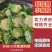 松花菜河南有机花菜代收代发代加工货源足