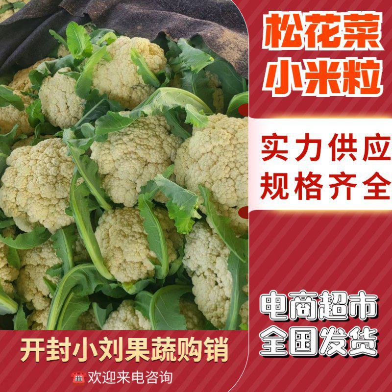 松花菜河南有机花菜代收代发代加工货源足