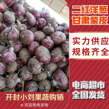 红皮洋葱，二红洋葱产地直发可以视频看货量大实惠