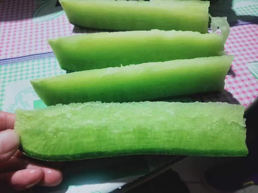 一根被横向切开的沙窝萝卜,展示其洁白细腻的肉质结构,中心无空心现象,汁液丰富,旁边配有刻度尺显示直径约为6厘米,另一小块正在被品尝,手指捏起薄片显示其脆性 切开展示沙窝萝卜内部结构