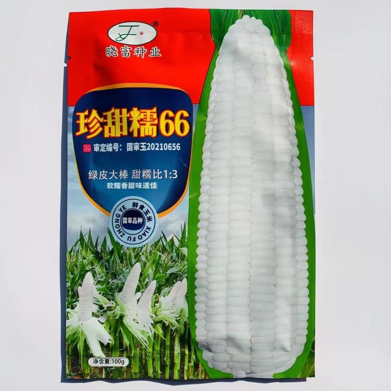 【国审】珍甜糯66糯玉米种子甜糯1比3袋装200g
