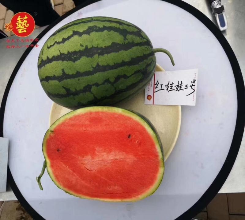 红娃娃3号大果甜王抗病性强囗感好含糖量高耐裂果20斤以上