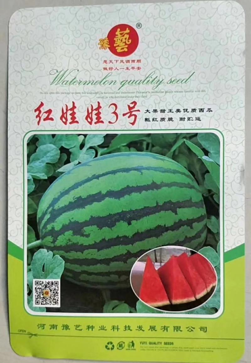 红娃娃3号大果甜王抗病性强囗感好含糖量高耐裂果20斤以上