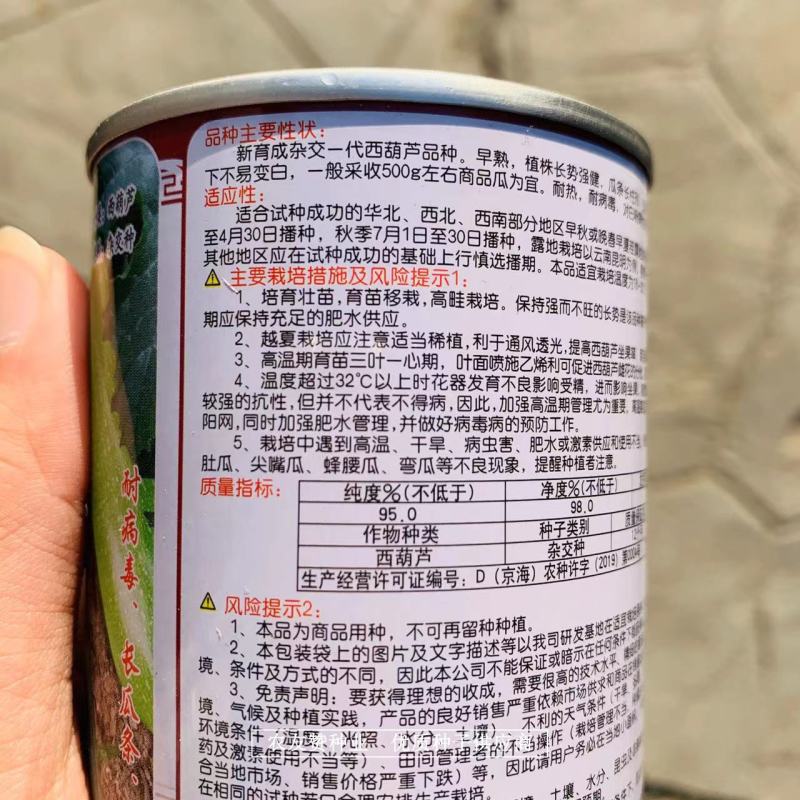 绿亨西葫芦种子耐热耐病毒瓜色翠绿高温不易变白SQ21