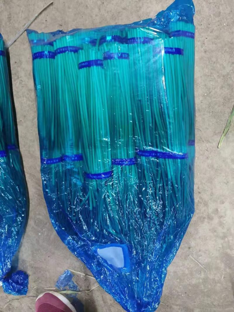 精品红帽蒜苔大量供应，干谭，电商，发往全国各地