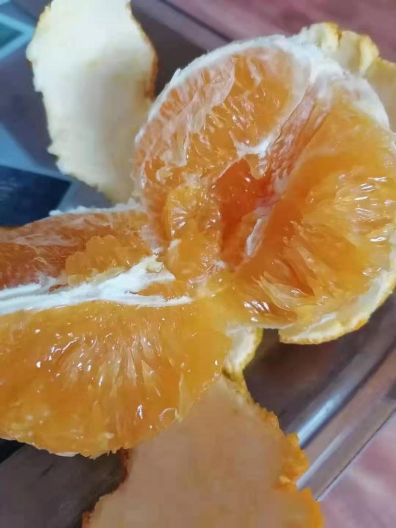 芦柑椪柑大量供应，口感好，汁多，随行就市！