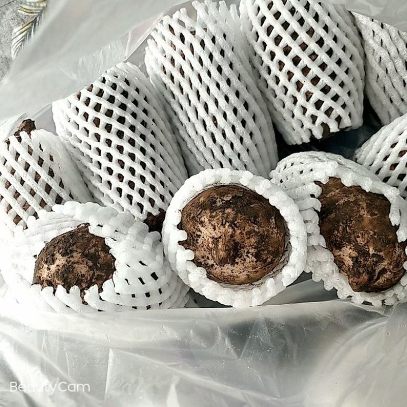 云南昭通小草坝新鲜天麻（正宗乌天麻）自产自销，基地直发