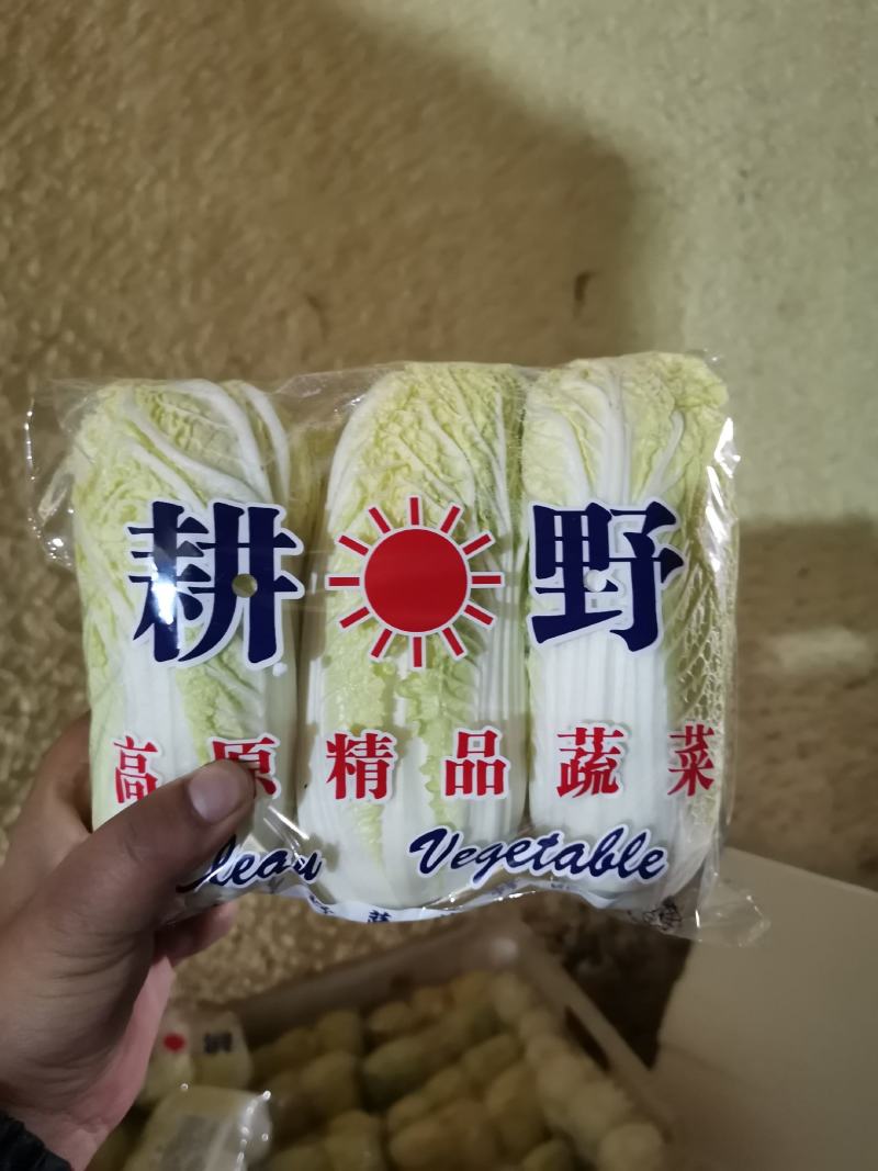 甘肃精品娃娃菜