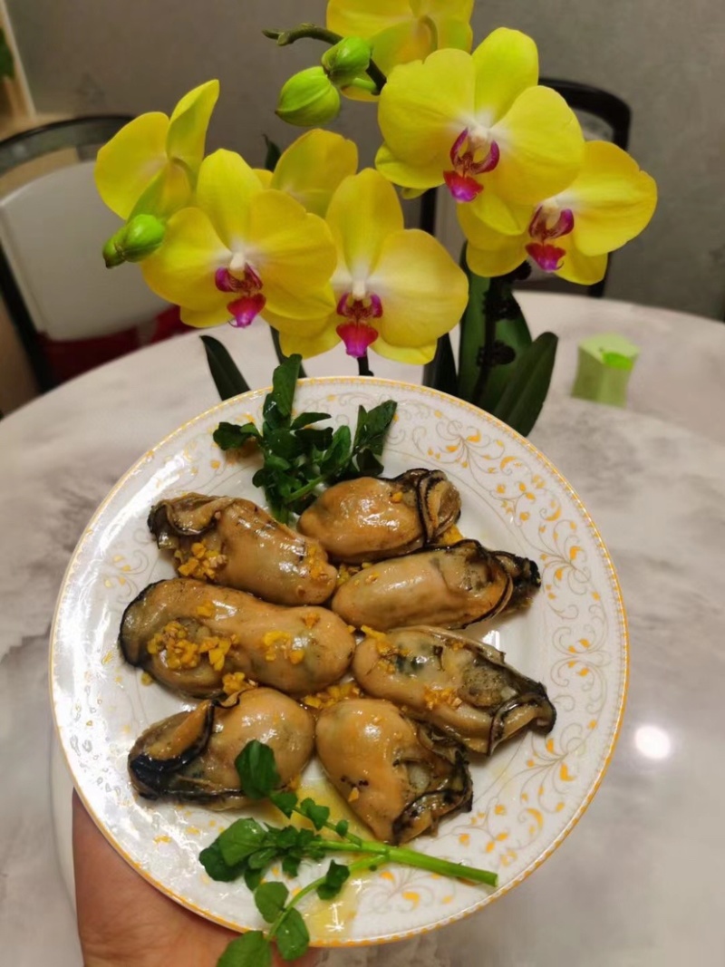 台山大金蚝鲜活生晒蚝干牡蛎干货生蚝蚝鼓肥大饱满送礼佳品