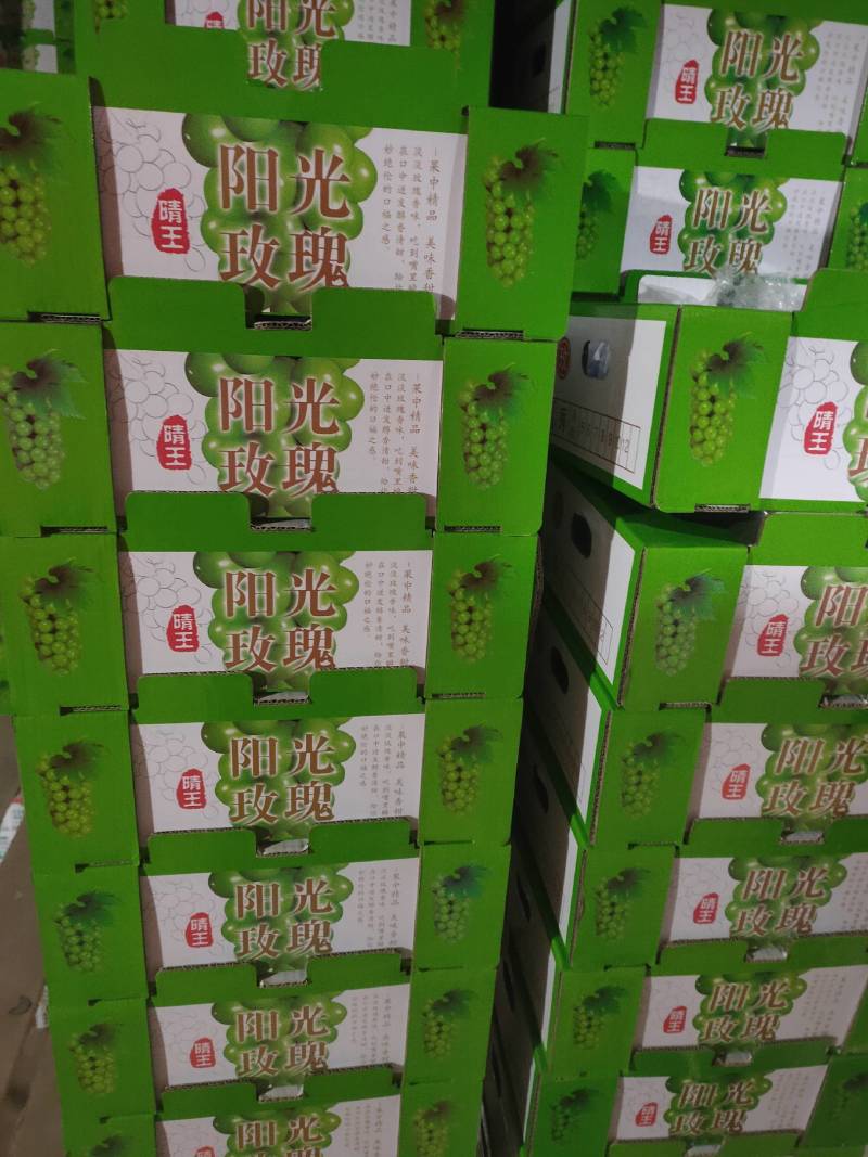 【好货不贵】阳光玫瑰电商货通货和精品货！筐装冷棚鲜货