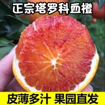 正中资中塔罗科血橙大量上市了欢迎各位老板前来采购！