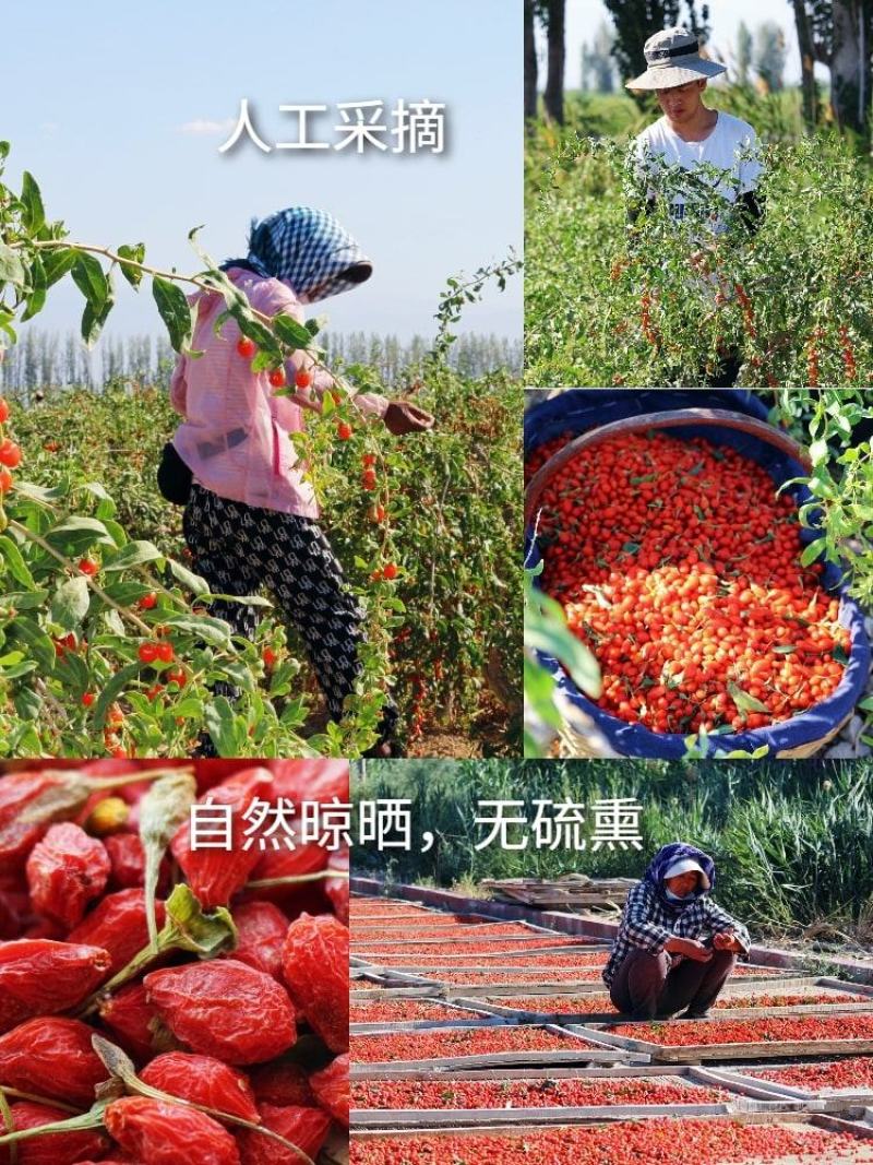 新疆精河枸杞特级150粒大果皮薄肉厚籽少口感甘甜醇厚