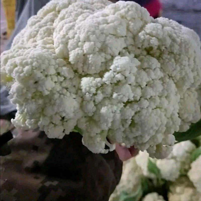 松花菜，散花【视频看货产地直发.诚信代发全国】