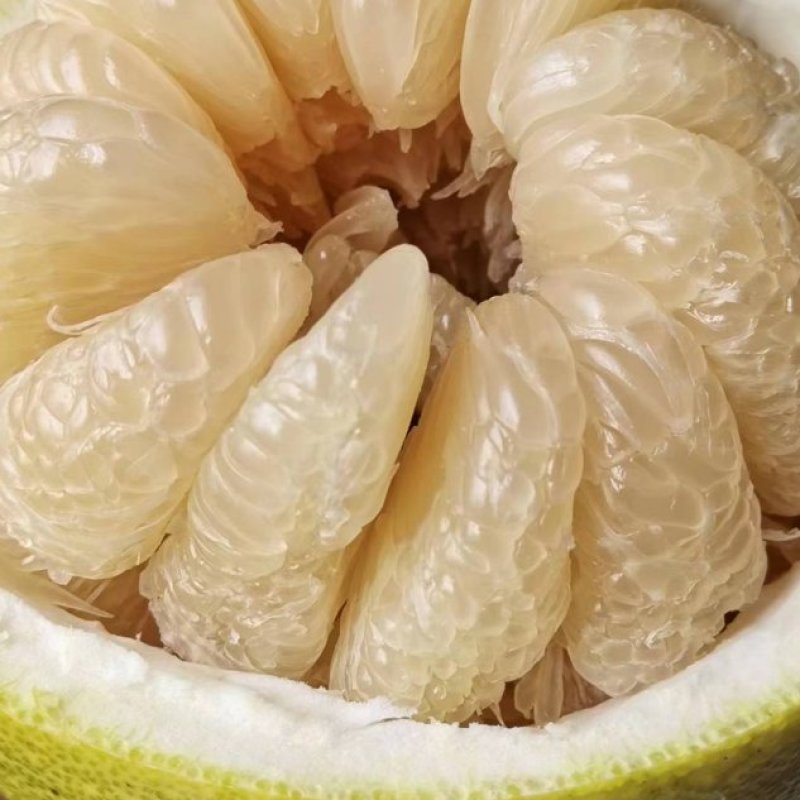 【荐】合江真龙柚，品质保证，物美廉江，量大从优