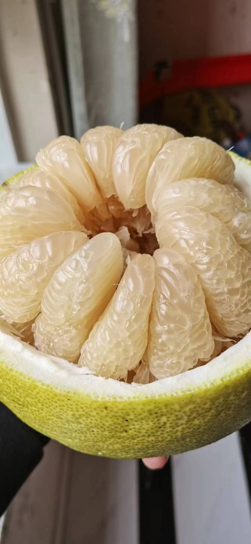 【荐】合江真龙柚，品质保证，物美廉江，量大从优