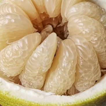 【荐】合江真龙柚，品质保证，物美廉江，量大从优