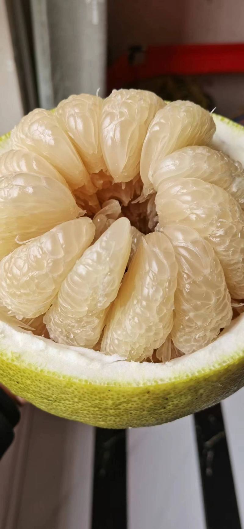 【荐】合江真龙柚，品质保证，物美廉江，量大从优