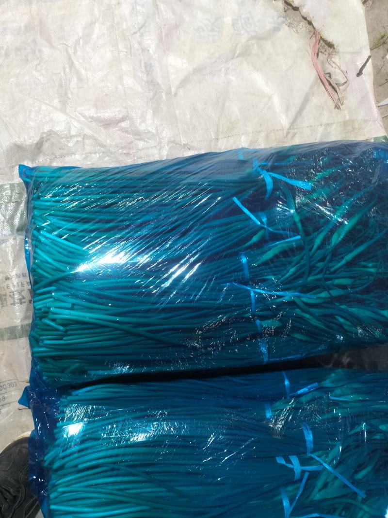 白帽蒜苔