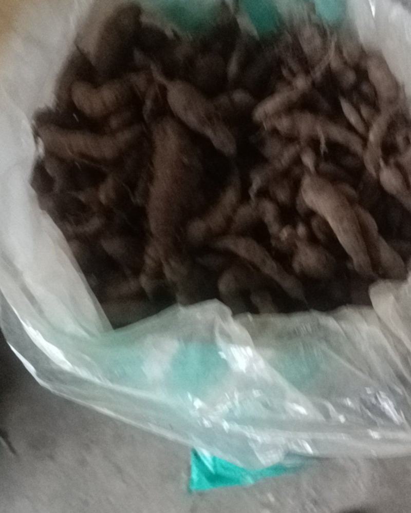 广西三叶青