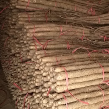 铁棍山药