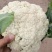 [松花菜]菜花有机花菜花菜白面青梗质优价廉市场商超