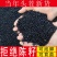 《推荐》大红袍花椒种子育苗用花椒种子鸽子吃的花椒种子