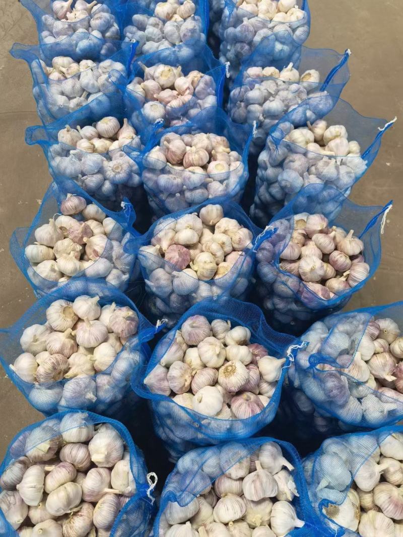 金乡大蒜自产自销价格低随到随装代加工各包装保质保量。