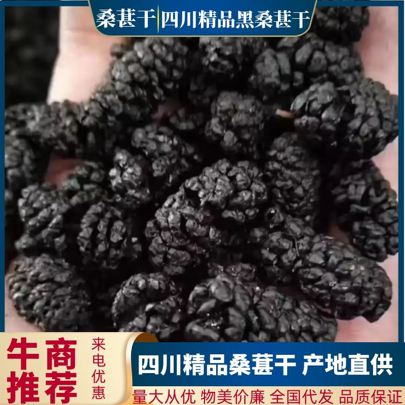 黑桑葚，四川精选水洗桑葚干营养价值高，品质保证