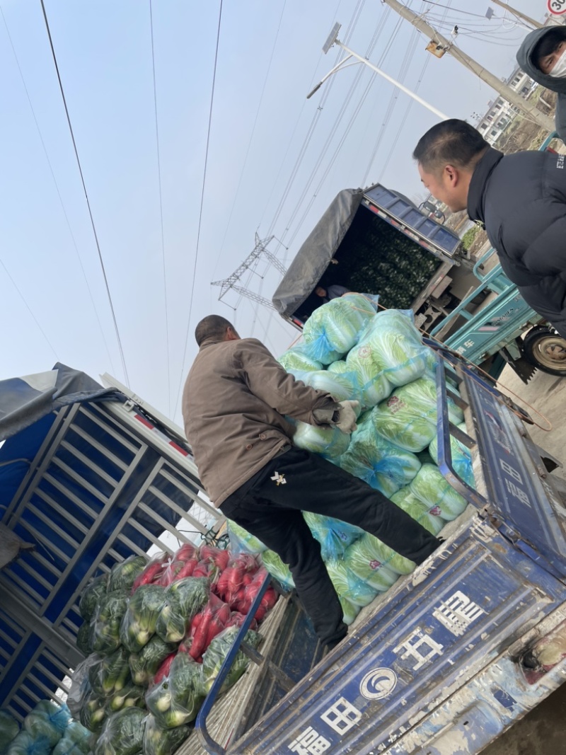 需要的朋友可以联系我