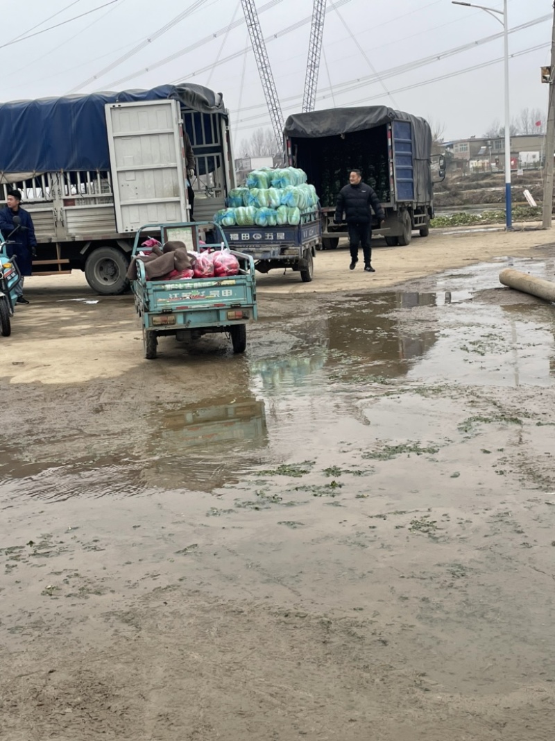 需要的朋友可以联系我