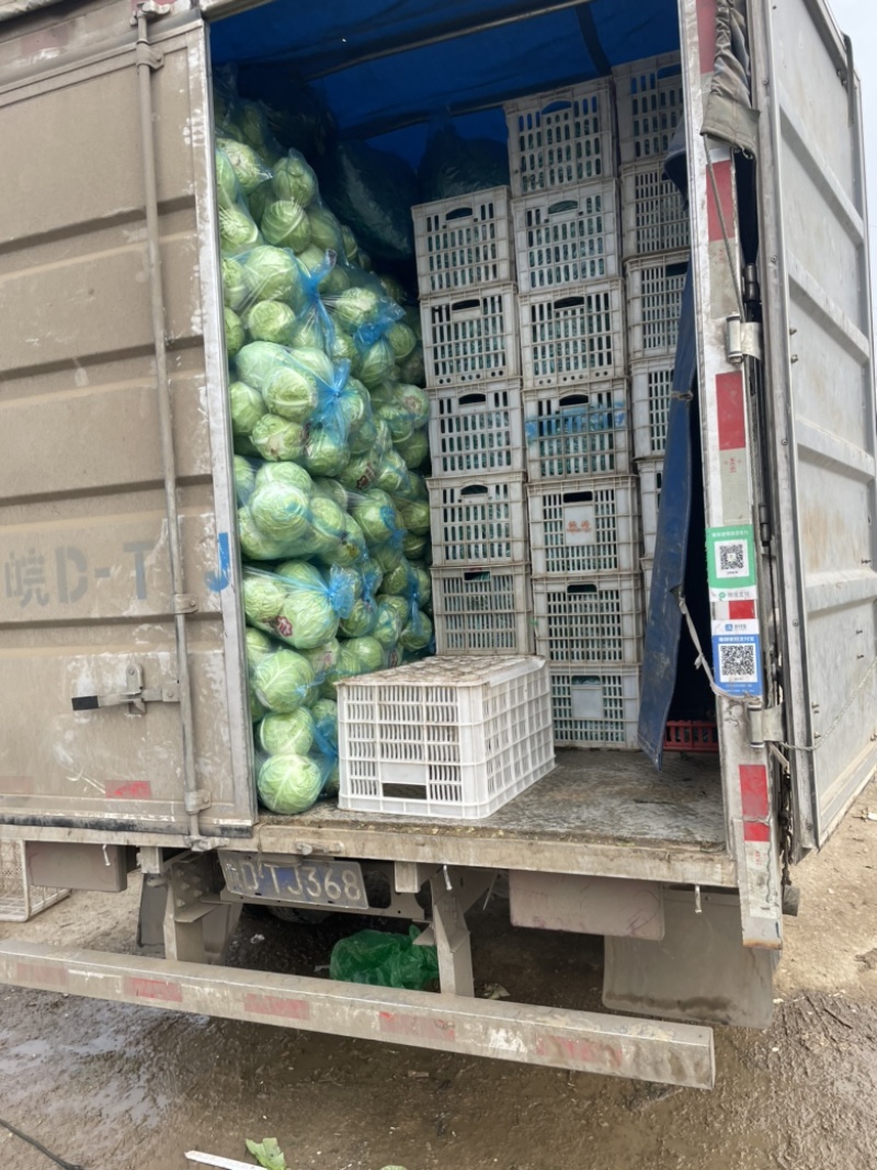 需要的朋友可以联系我