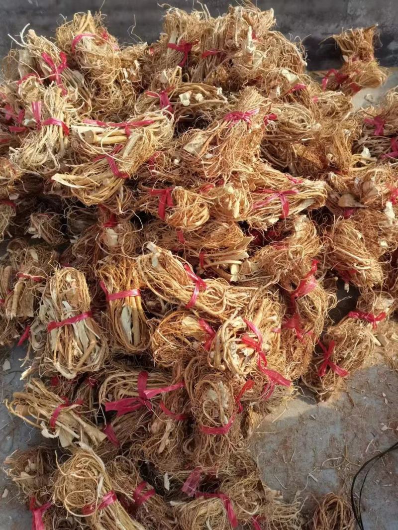 本地五指毛桃，山地货香味十足干度十足无硫，广东韶关山区货
