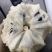 凤梨释迦果云南高原露天牛奶果现货大量供应市场团购代发