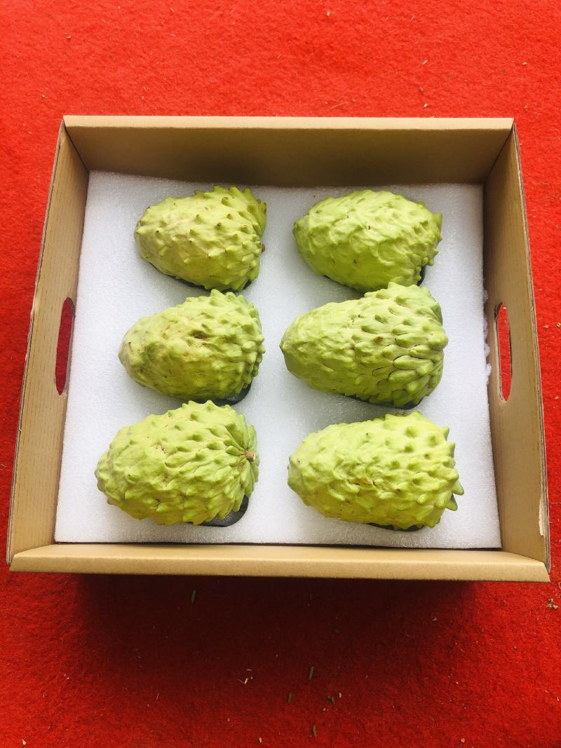 凤梨释迦果云南高原露天牛奶果现货大量供应市场团购代发