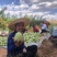 凤梨释迦果云南高原露天牛奶果现货大量供应市场团购代发