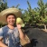 凤梨释迦果云南高原露天牛奶果现货大量供应市场团购代发