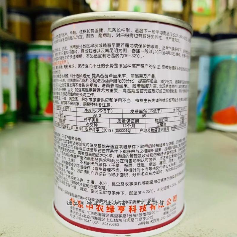 耐病毒耐热西葫芦种子瓜色翠绿高温下不易变白早熟品种