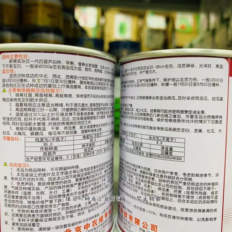 耐病毒耐热西葫芦种子瓜色翠绿高温下不易变白早熟品种