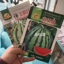 豫美都01美都西瓜种子大果型耐裂抗病耐低温含糖量高