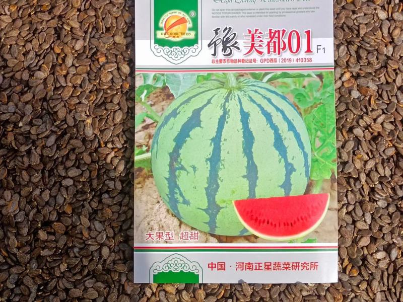 豫美都01美都西瓜种子大果型耐裂抗病耐低温含糖量高