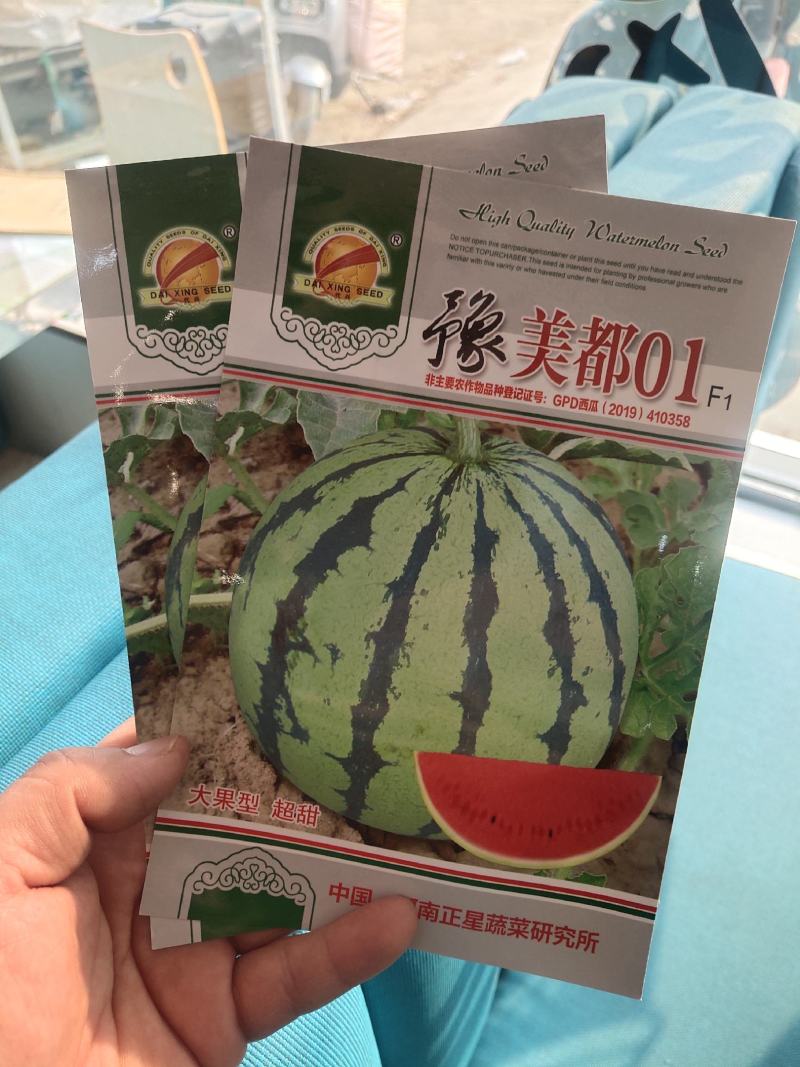豫美都01美都西瓜种子大果型耐裂抗病耐低温含糖量高