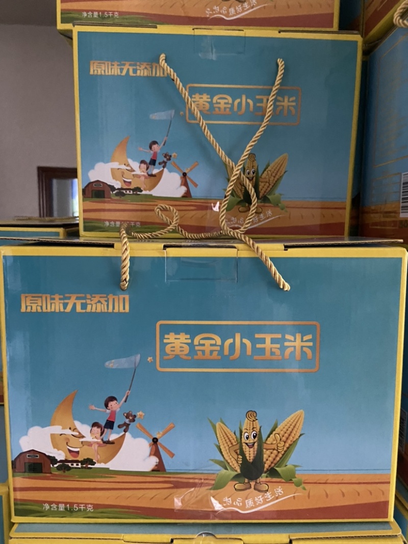 黄金小玉米单只真空包装礼盒3斤装常温储存0添加