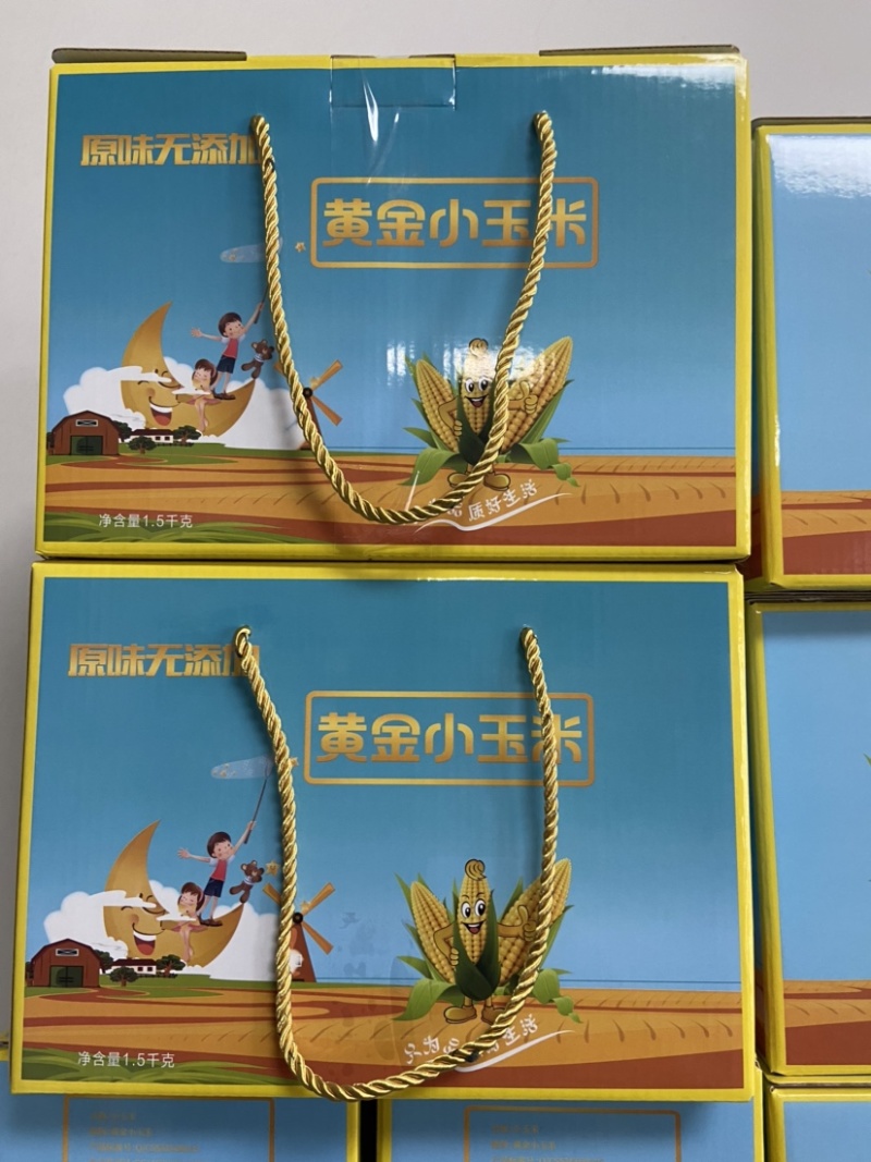 黄金小玉米单只真空包装礼盒3斤装常温储存0添加