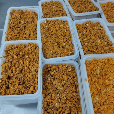 蟹黄一级大闸蟹蟹黄正宗蟹黄蟹肉活蟹现拆开店专用批发