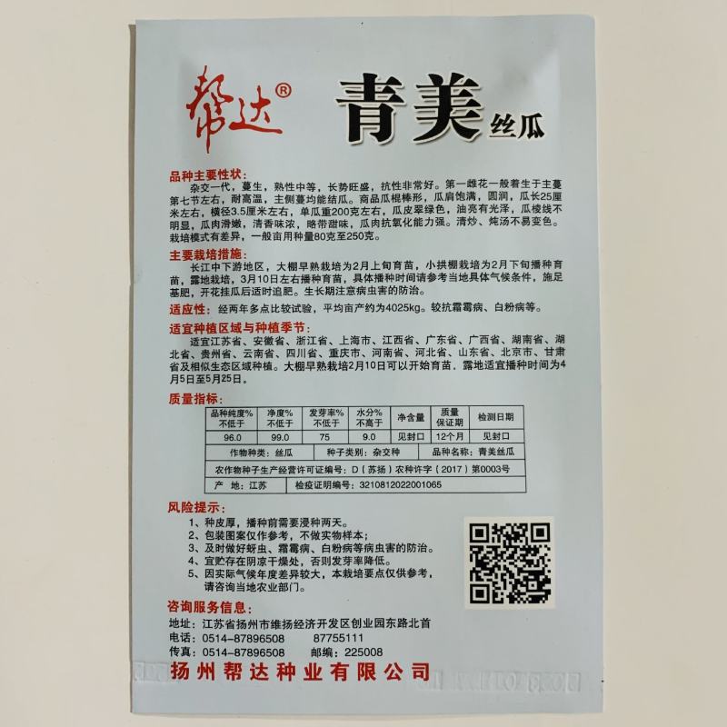 青美丝瓜种子油亮棍棒丝瓜种子清香味浓高产丝瓜种籽油绿光泽